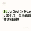 SuperGro​k Heavy 三个月｜自助充值｜非速刷渠道